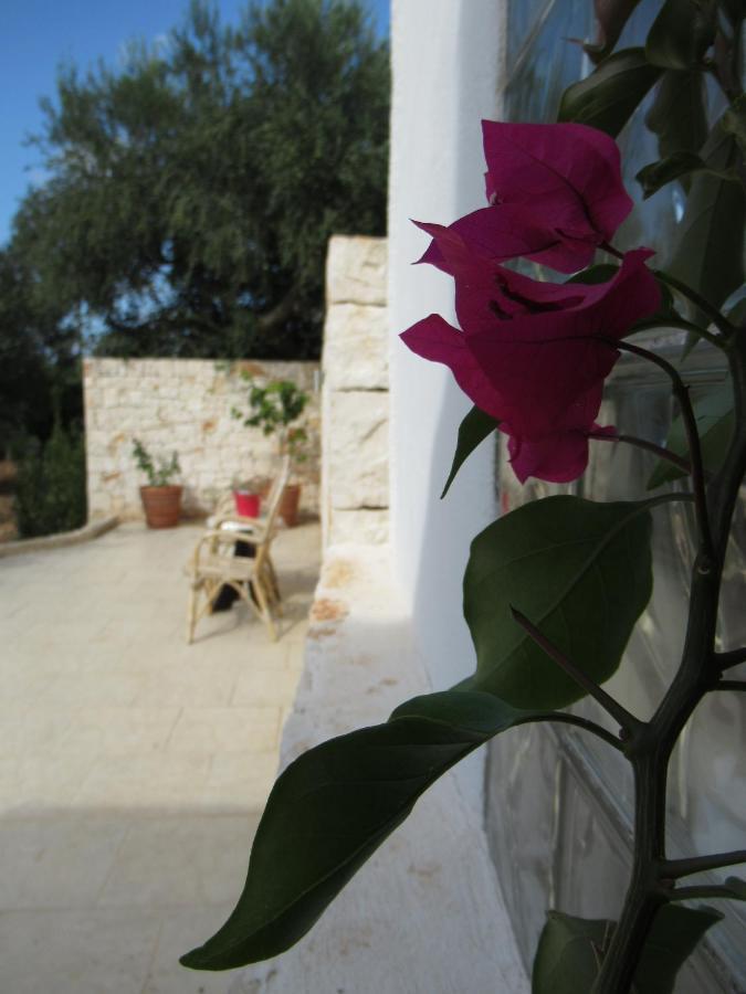 Villa Casa Ale&Vinci Monopoli Exterior foto